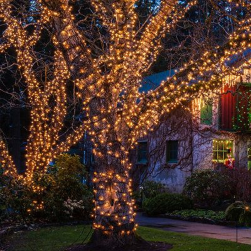 Why Choose Christmas Lights Installer Pros